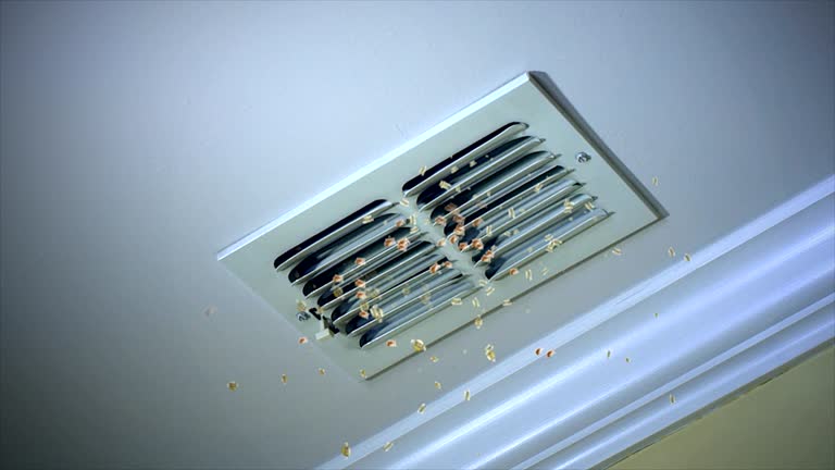Best Commercial Air Duct Cleaning  in Pagedale, MO